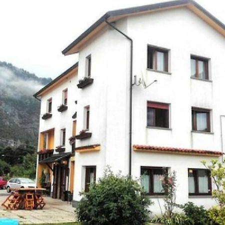 Albergo Alla Pineta Villa Santina Luaran gambar