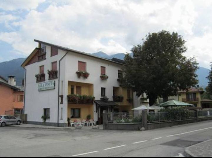 Albergo Alla Pineta Villa Santina Luaran gambar