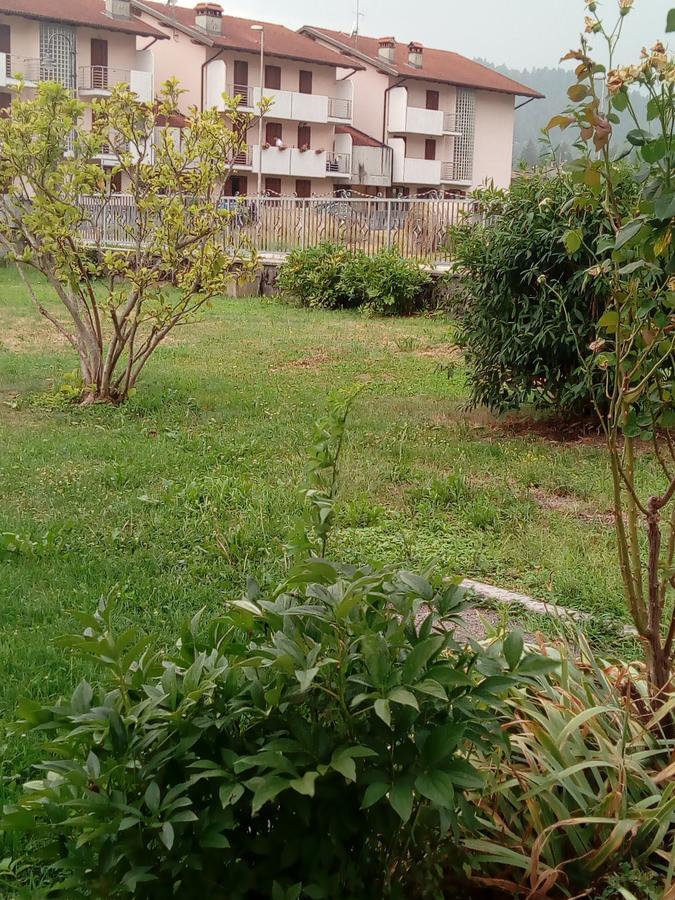 Albergo Alla Pineta Villa Santina Luaran gambar